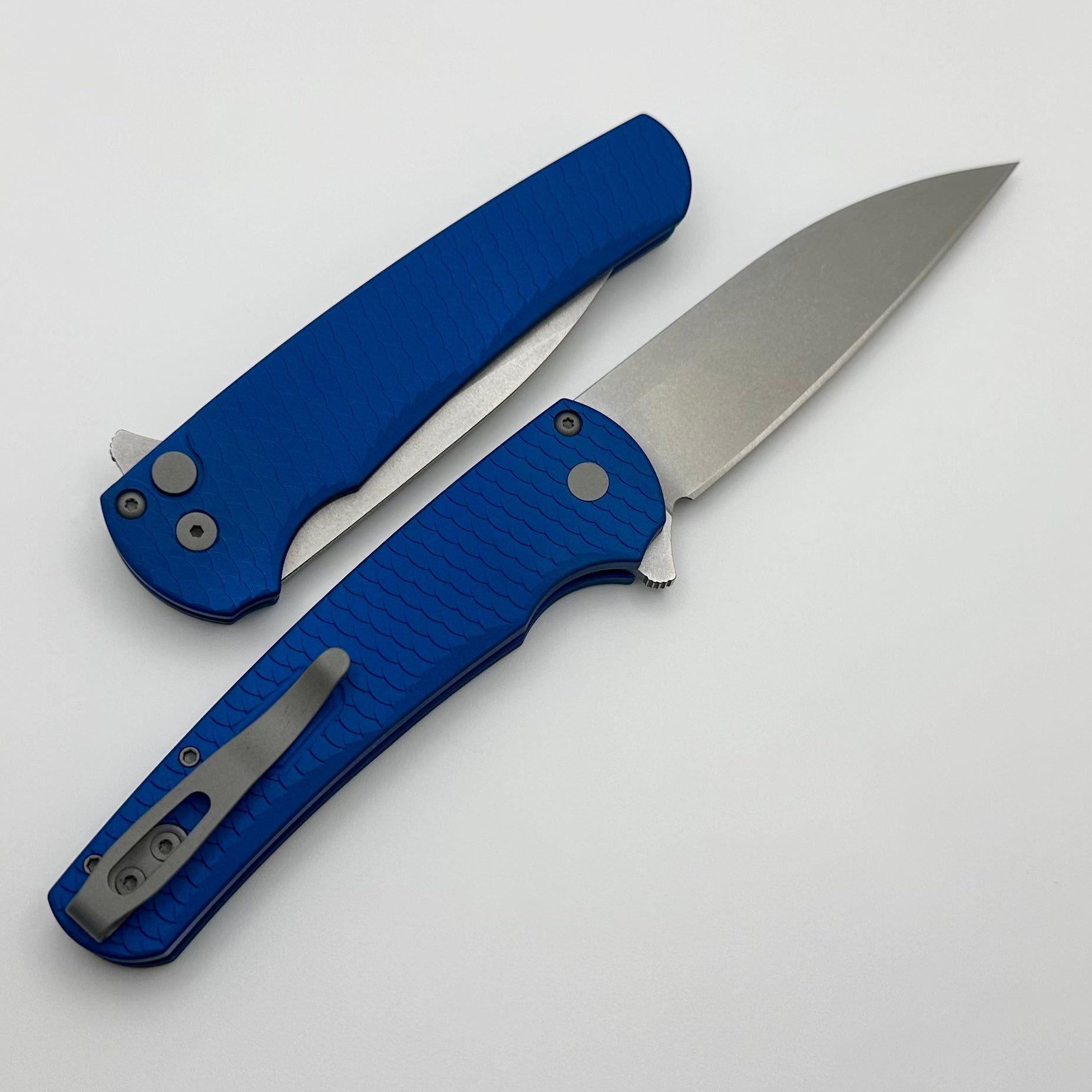 Premium Pro-Tech Malibu Dragon Scale Folding Knife - Blue Handle & MagnaCut Wharncliffe Blade