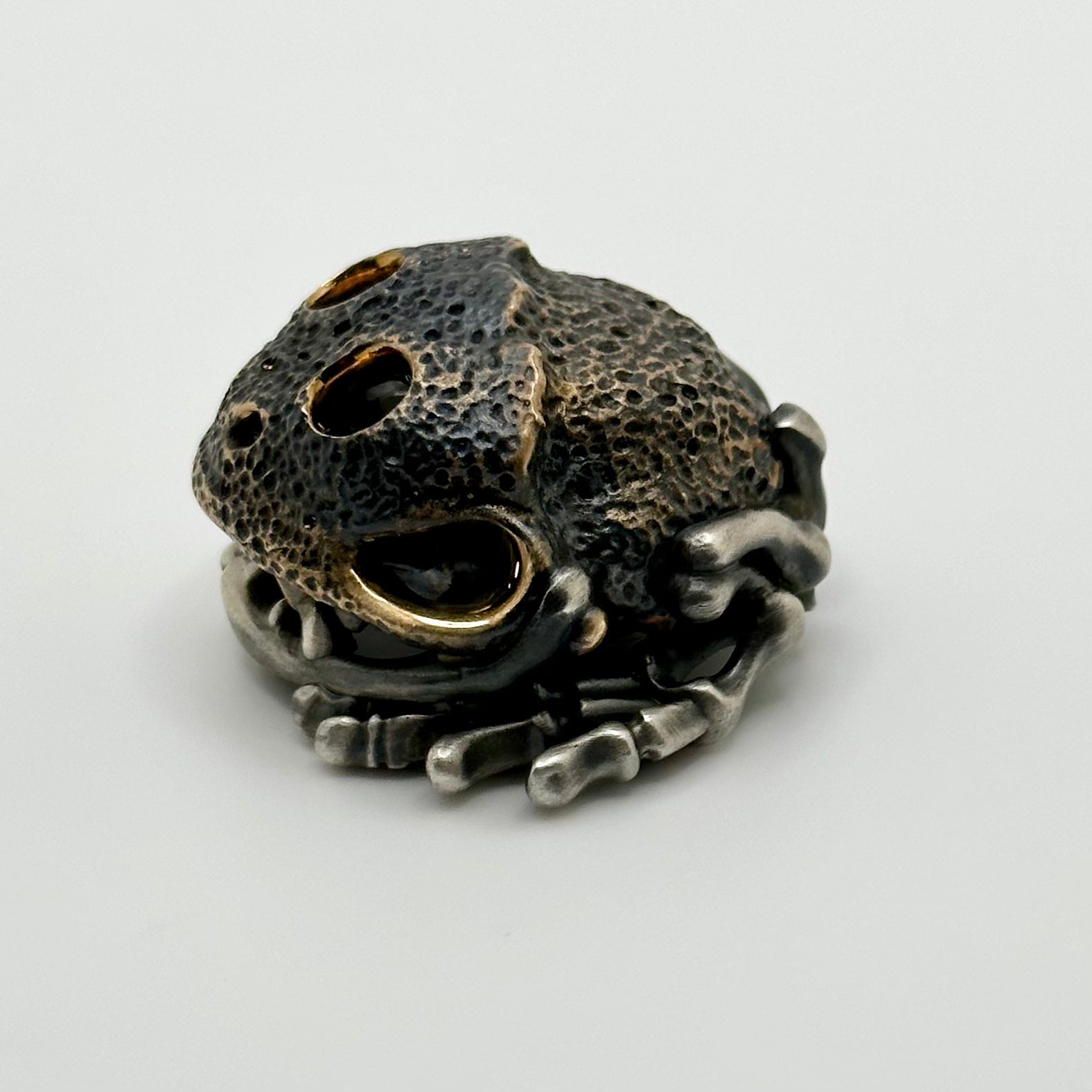 Premium Toad-Hanya Worry Stone - Bronze & Silver Handcrafted Masterpiece