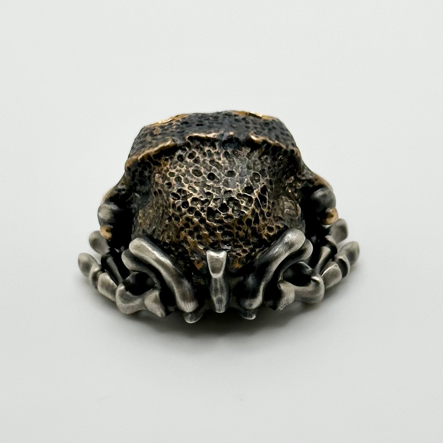 Premium Toad-Hanya Worry Stone - Bronze & Silver Handcrafted Masterpiece